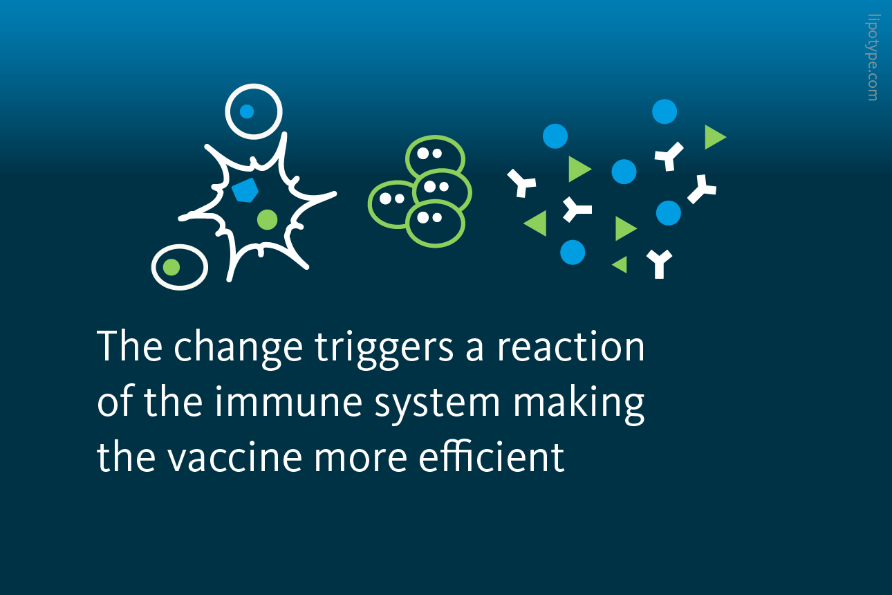 Slide 4: Changes triggered by the adjuvant AS03 cause a reaction of the immune system making the vaccine more efficient.