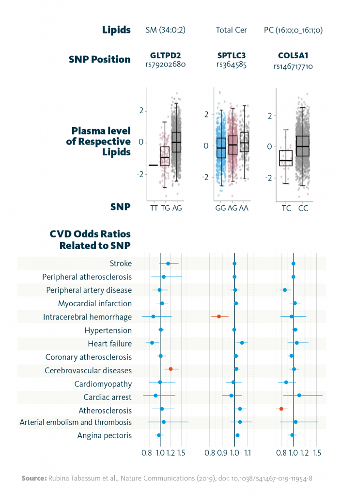 Scientific graphs showing heritability estimates of selected lipid classes and long, poly-unsatured fatty acids. The first graph depicts median heritability estimates in each lipid class, the second one shows heritability estimates based on selected fatty acid chains in lipid species. Scientific graph showing selected associations of the identified genetic variants (SNPs) with the strongest associated lipid (species), and the relationship between the identified variants with cardiovascular disease phenotypes as odds ratios. Highlighted in red color are associations significant at FDR