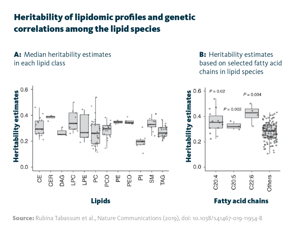 Scientific graphs showing heritability estimates of selected lipid classes and long, poly-unsatured fatty acids. The first graph depicts median heritability estimates in each lipid class, the second one shows heritability estimates based on selected fatty acid chains in lipid species. Scientific graphs showing heritability estimates of selected lipid classes and long, poly-unsatured fatty acids. The first graph depicts median heritability estimates in each lipid class, the second one shows heritability estimates based on selected fatty acid chains in lipid species.