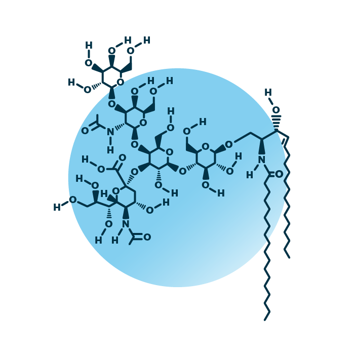 An example for the molecular structure of ganglioside GM1, specifically GM1 36:1;2.