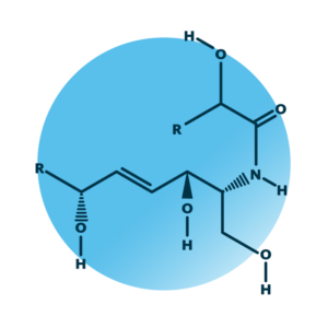 General molecular structure of alpha-hydroxy-6-hydroxy-sphingosines.