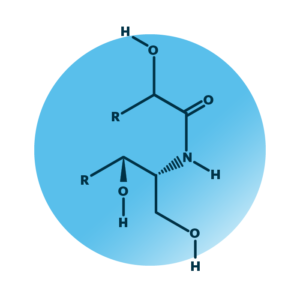 General molecular structure of alpha-hydroxy-dihydrosphingosines.