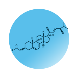 General molecular structure of ergosteryl ester.
