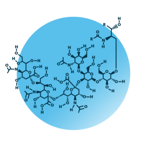 General molecular structure of the ganglioside GT2.