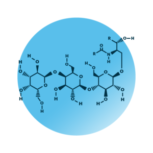 General molecular structure of the globoside Gb3.