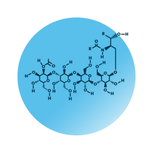 General molecular structure of the globoside Gb4.