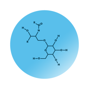 General molecular structure of hexosylceramide.