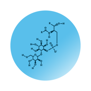 General molecular structure of mannosyl-inositolphosphoryl-ceramide.