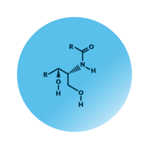 General molecular structure of non-hydroxy-dihydrosphingosine.