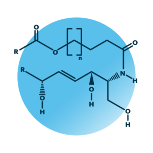 General molecular structure of omega-hydroxy-6-hydroxy-sphingosines.