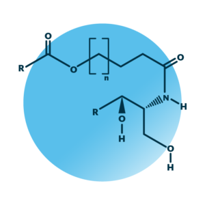 General molecular structure of omega-hydroxy-dihydrosphingosines.