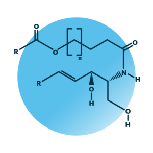 General molecular structure of omega-hydroxy-sphingosines.
