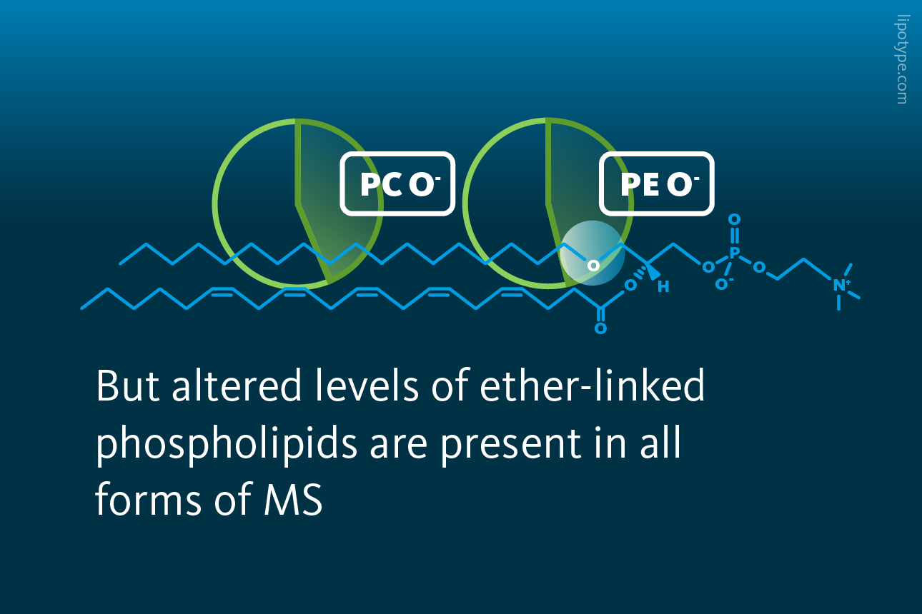 Slide 3: But altered levels of ether-linked phospholipids are present in all forms of multiple sclerosis.