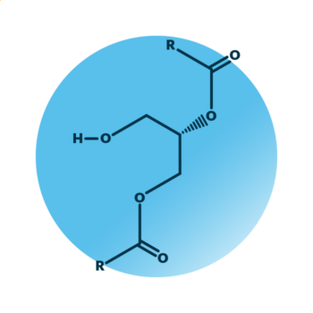 General molecular structure of diacylglycerol.