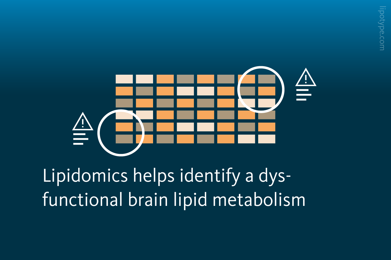Slide 4: Lipidomics helps identify a dysfunctional brain lipid metabolism.