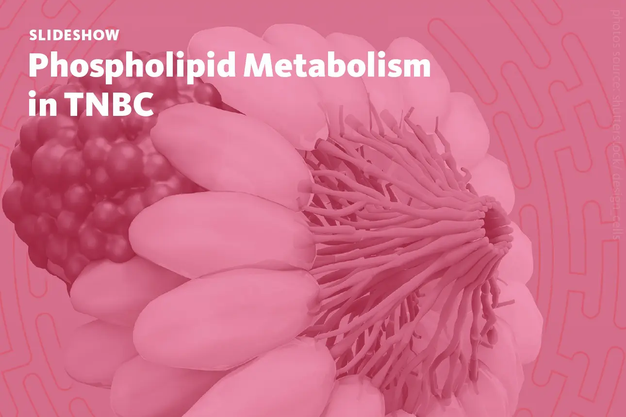 Slide 1: A slideshow about phospholipid metabolism in Triple-Negative Breast Cancer and the benefits of lipidomics for oncological research and the development of new cancer therapies.