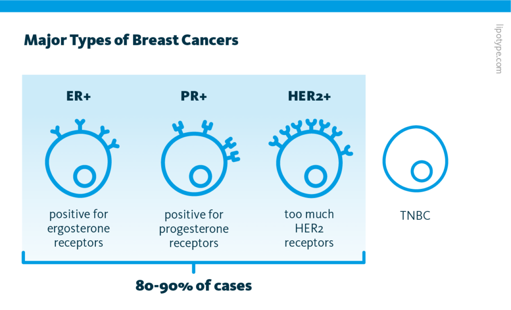An infographic showing ER+, PR+, HER2+, and TNBC breast cancer, explaining their differences, and how often the different types of breast cancer occur.