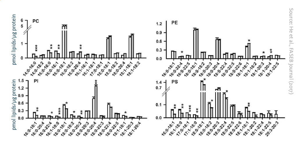 Scientific graphs depicting changes in lipid species that may be directly regulated by lipin‐1 activity. Only the top 15 most abundant species of each phospholipid class are presented.