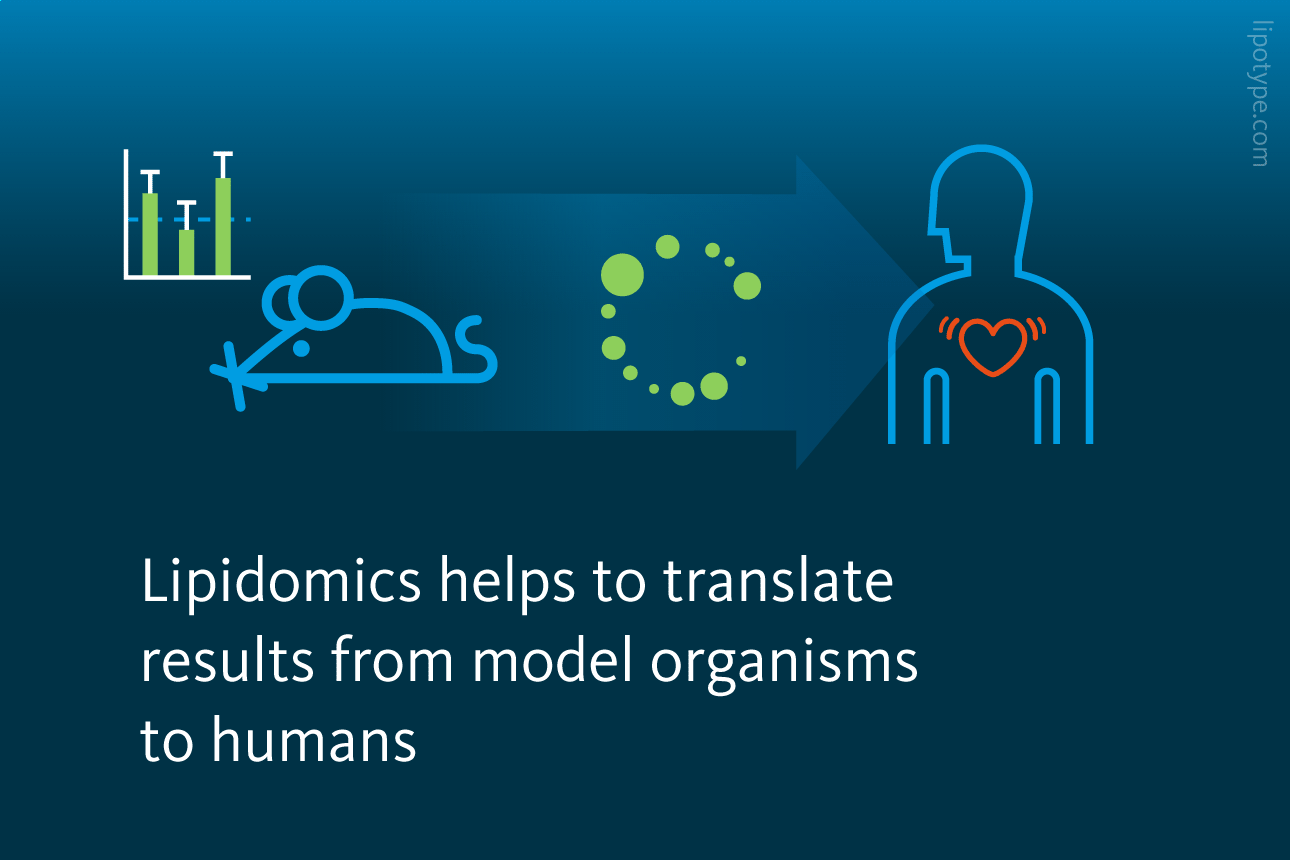 Slide 4: Lipidomics helps to translate results from model organisms to humans.