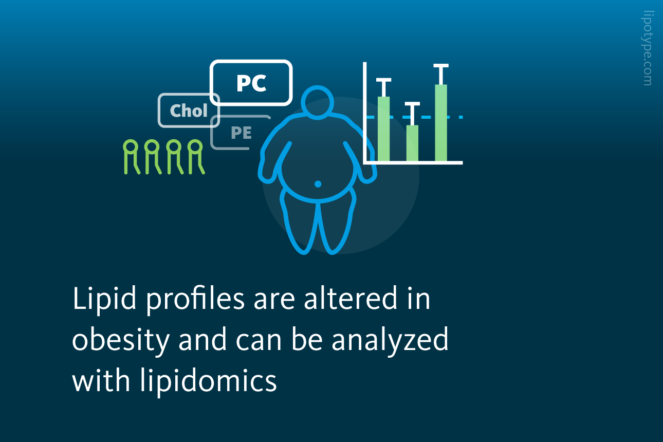 Slide 3: Lipid profiles are altered in obesity and can be analyzed with lipidomics.