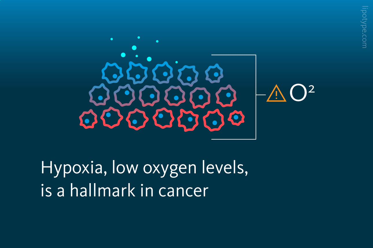 Slide 2: Hypoxia, low oxygen levels, is a hallmark in cancer.
