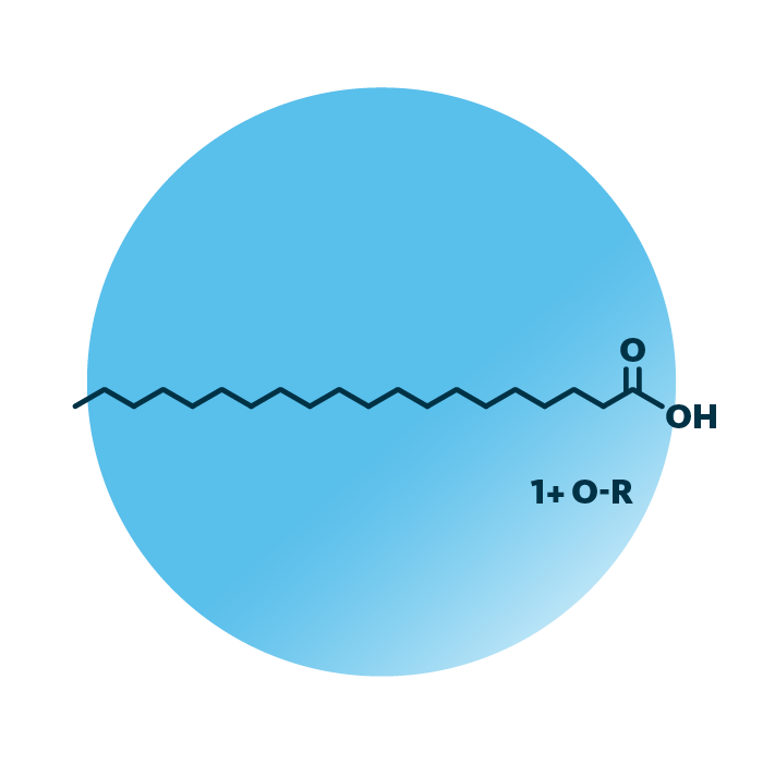 General molecular structure of the lipid group eicosanoids.