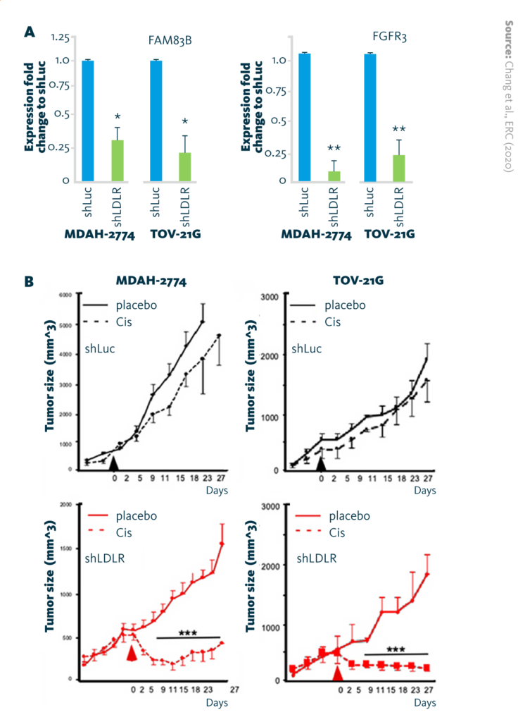 (A) Reduction of FAM83B mRNA and FGFR3 mRNA expression in endometrioid (MDAH-2774) and clear-cell (TOV-21G) ovarian cancer cell lines after LDLR-knockdown (shLDLR). (B) Tumor-suppressive effect of cisplatin (6 mg/kg/mice) in xenograft mouse models.