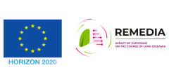 Logo of the REMEDIA project.
