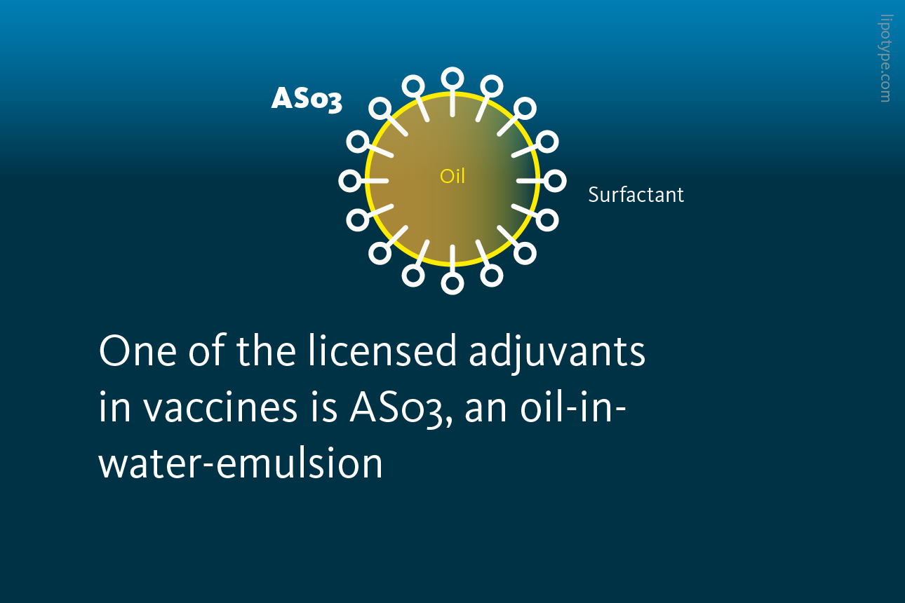 Slide 2: One of the licensed adjuvants in vaccines is AS03, an oil-in-water-emulsion.