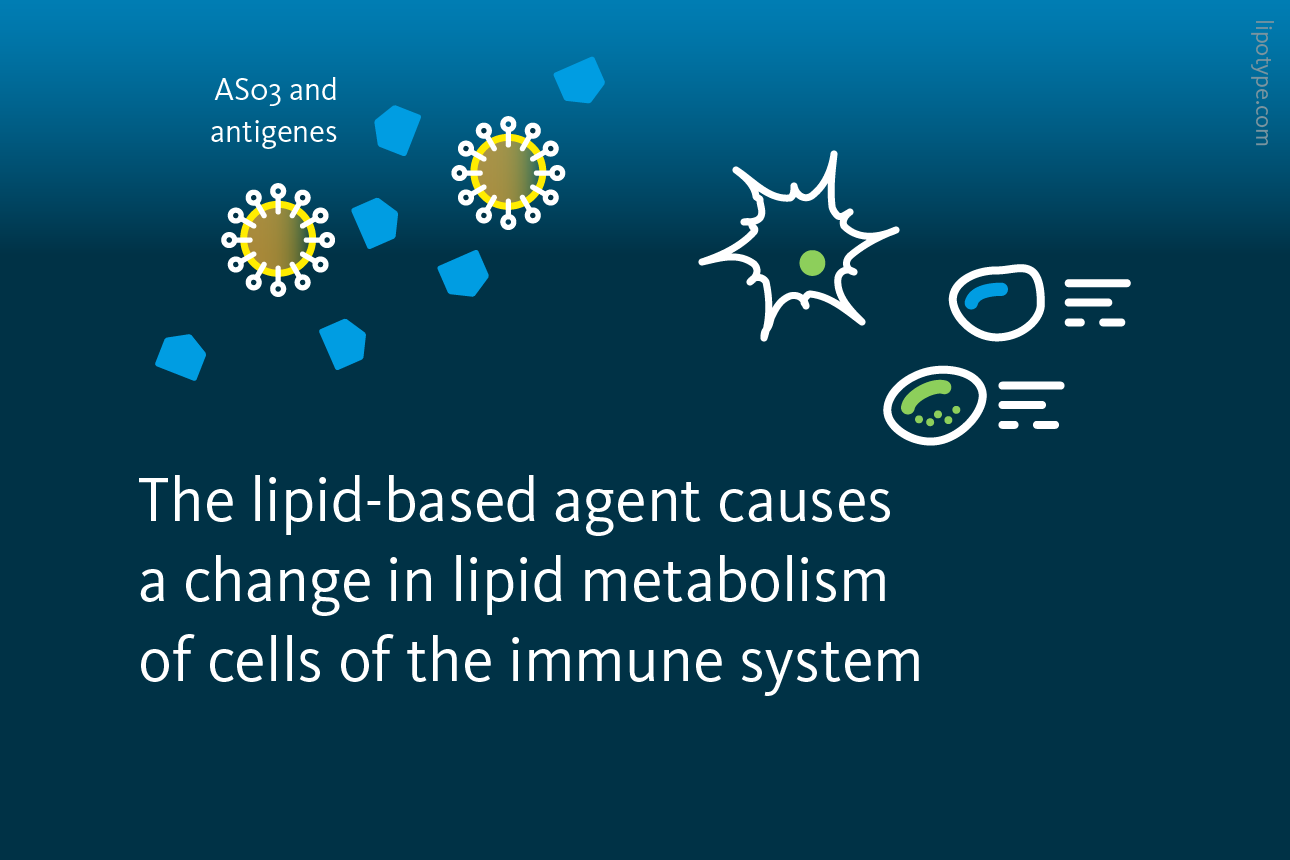 Slide 3: The lipid-based adjuvant AS03 causes a change in lipid metabolism of cells of the immune system.