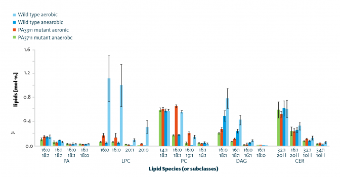 Scientific graphs showing lipidomic changes of selected lipid classes on class and species level dependent on the phospholipid metabolism associated protein PA3911.