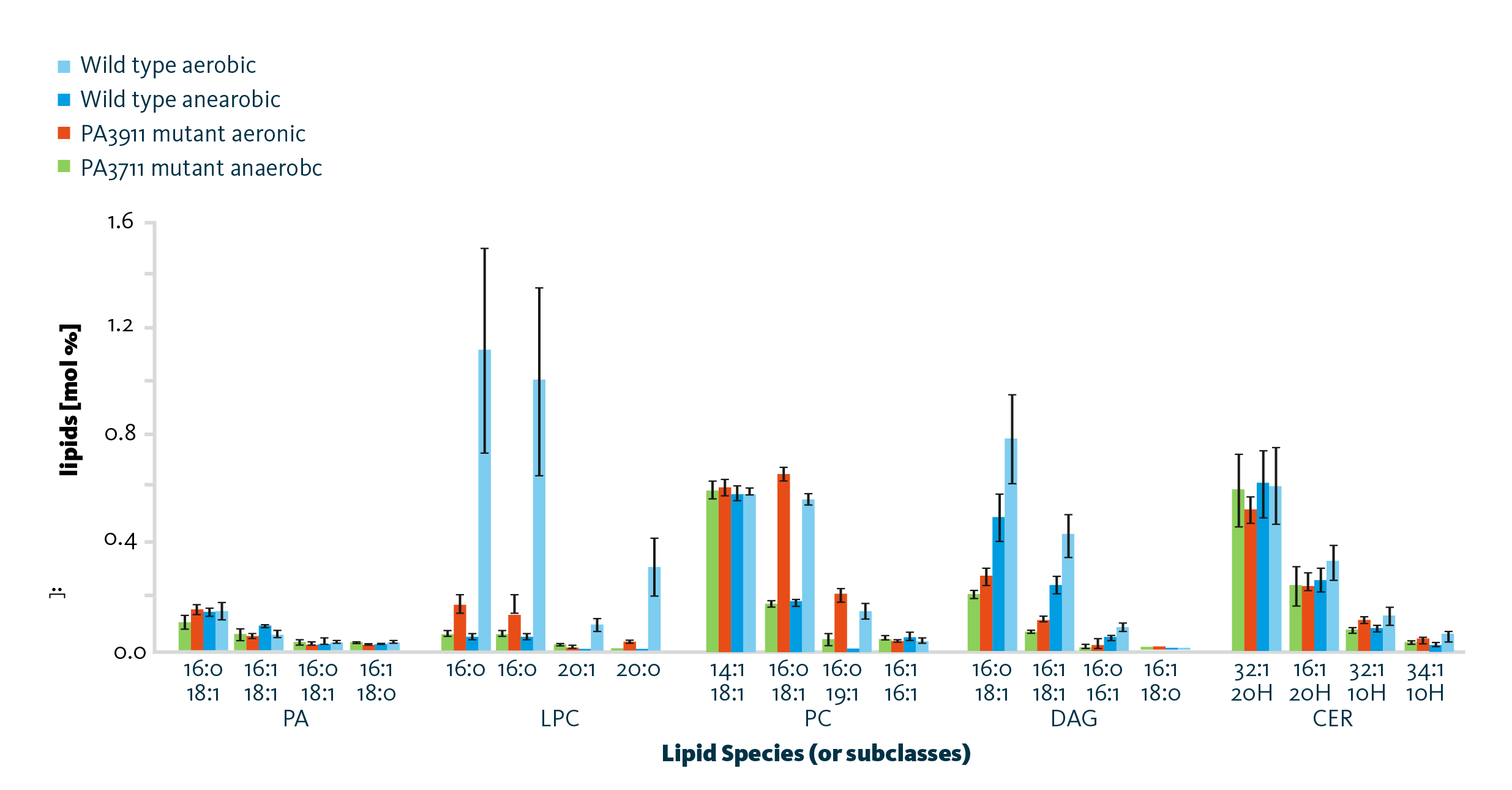 Scientific graphs showing lipidomic changes of selected lipid classes on class and species level dependent on the phospholipid metabolism associated protein PA3911. Scientific graphs showing lipidomic changes of selected lipid classes on class and species level dependent on the phospholipid metabolism associated protein PA3911.