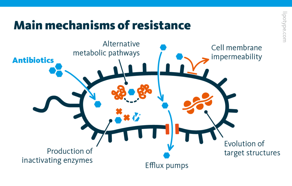 A graphic representation of the main cellular mechanisms of antibiotics resistance in bacteria.
