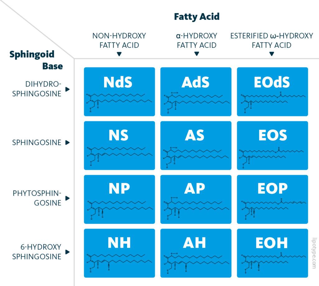 A table representing all 12 ceramide subclasses, their chemical structures, and which sphingoid bases and fatty acids they are built of.
