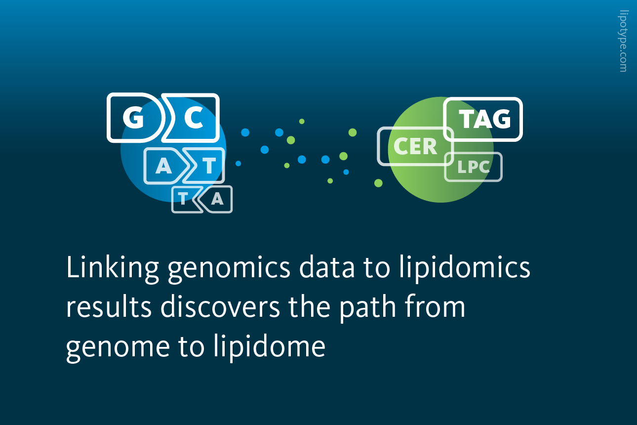 Slide 3: Linking genomics data to lipidomics results discovers the path from genome to lipidome.