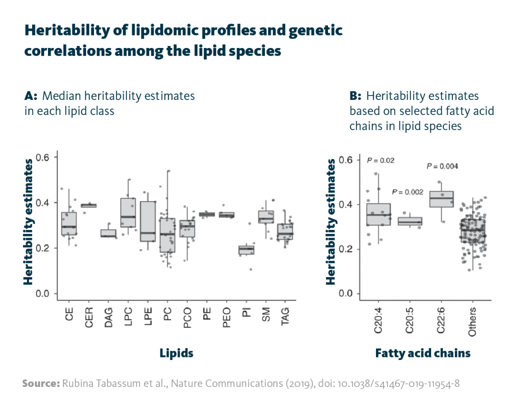 Scientific graphs showing heritability estimates of selected lipid classes and long, poly-unsatured fatty acids. The first graph depicts median heritability estimates in each lipid class, the second one shows heritability estimates based on selected fatty acid chains in lipid species.