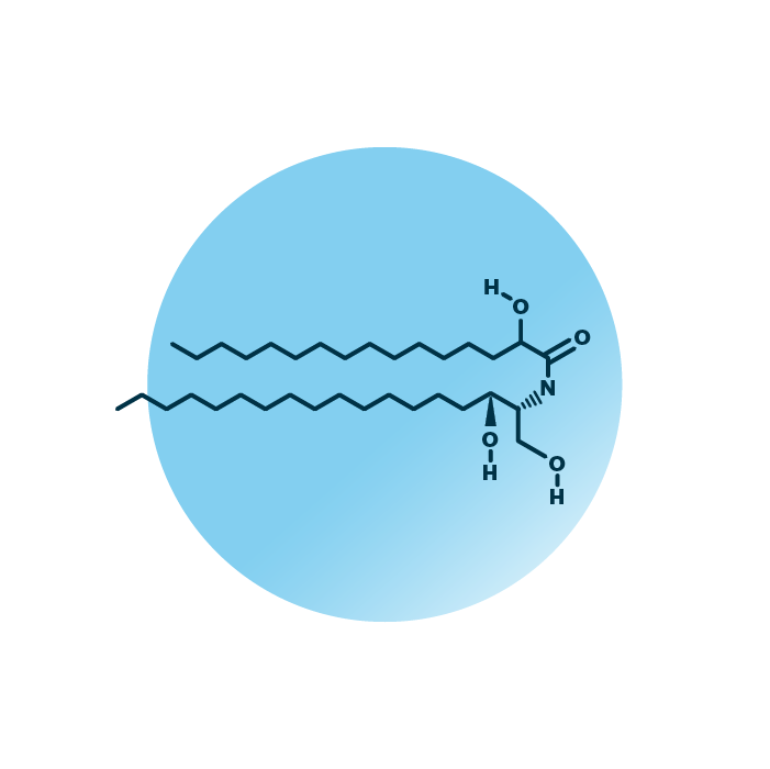 An example for the molecular structure of alpha-hydroxy-dihydrosphingosines, specifically AdS 18:0;2/16:0;1.