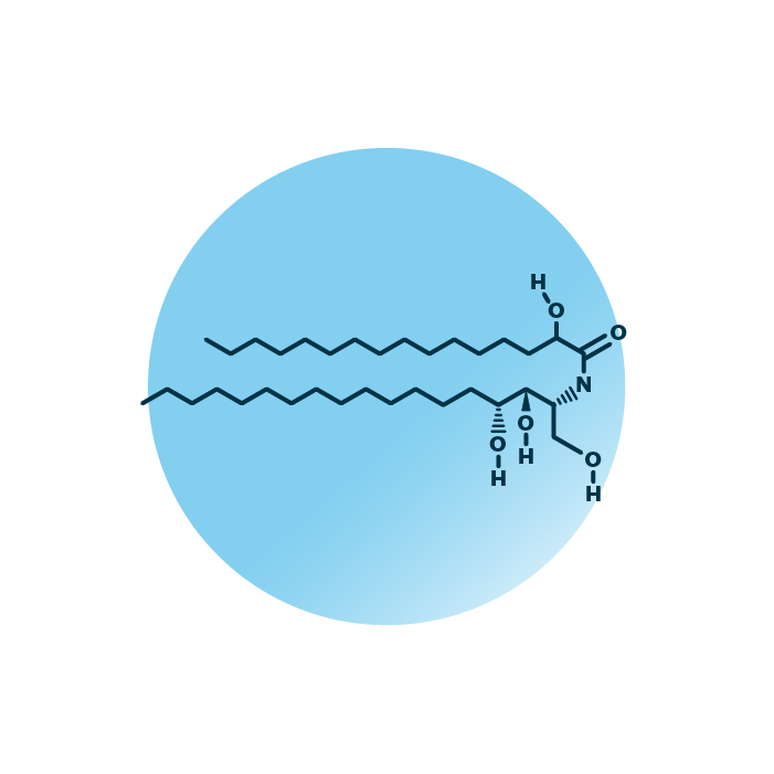 An example for the molecular structure of alpha-hydroxy-phytosphingosines, specifically AP 18:0;3/16:0;1.