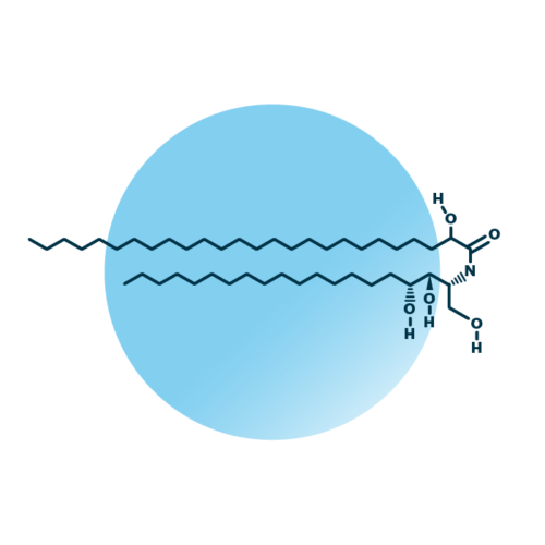 An example for the molecular structure of alpha-hydroxy-phytosphingosines, specifically AP 20:0;3/26:0;1.