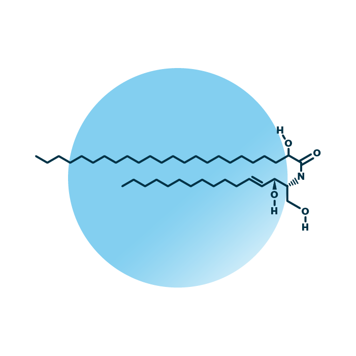 An example for the molecular structure of alpha-hydroxy-sphingosines, specifically AS 16:1;2/24:0;1.