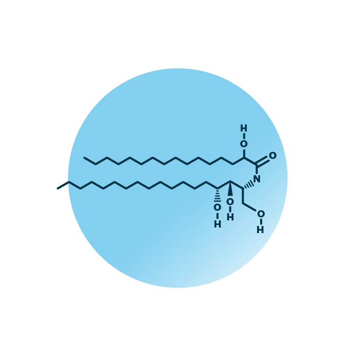 An example for the molecular structure of ceramides, specifically Cer 34:0;4.