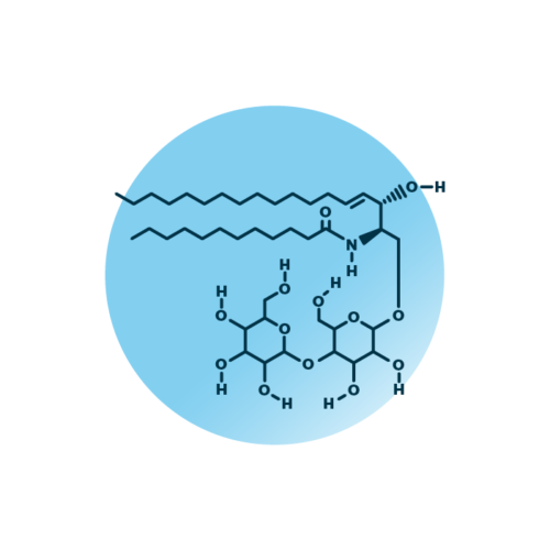 An example for the molecular structure of dihexosylceramides, specifically DiHexCer 30:1;2.