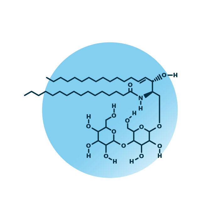 An example for the molecular structure of dihexosylceramides, specifically DiHexCer 34:1;2.