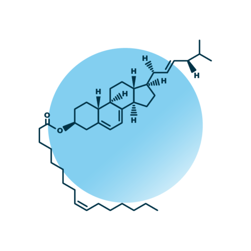An example for the molecular structure of ergosteryl ester, specifically EE 16:1;0.