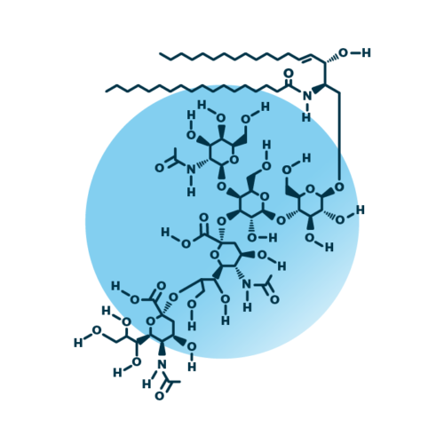 An example for the molecular structure of ganglioside GD2, specifically GD2 36:1;2.