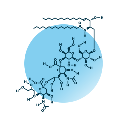 An example for the molecular structure of ganglioside GD3, specifically GD3 34:1;2.