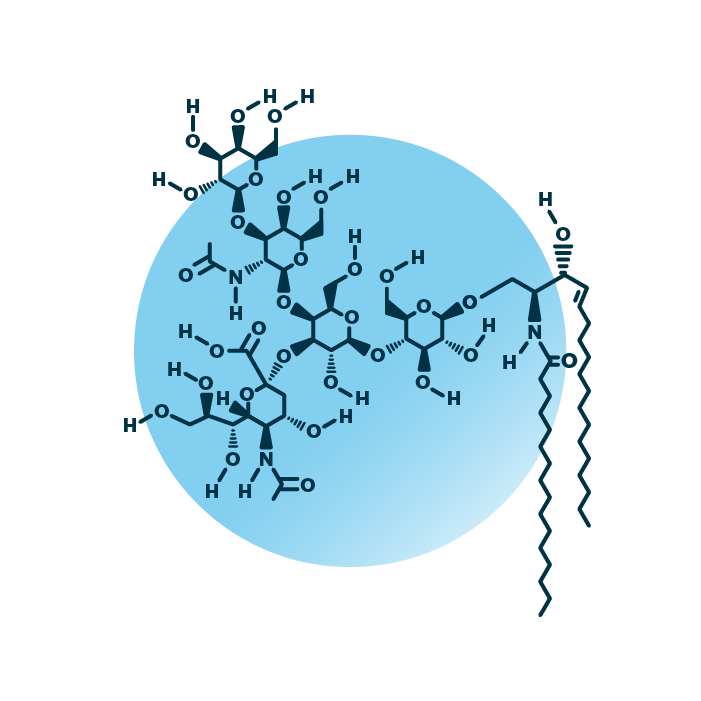 An example for the molecular structure of ganglioside GM1, specifically GM1 34:1;2.