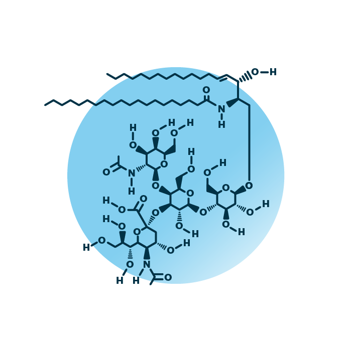 An example for the molecular structure of ganglioside GM2, specifically GM2 38:1;2.