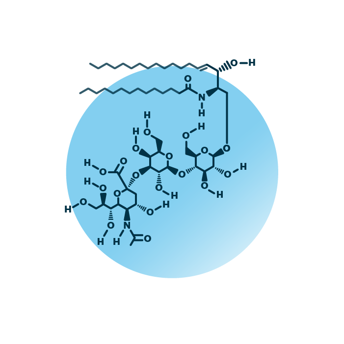 An example for the molecular structure of ganglioside GM3, specifically GM3 32:1;2.