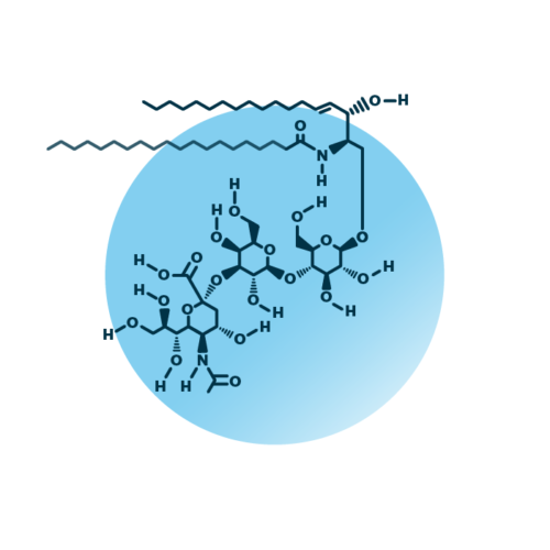 An example for the molecular structure of ganglioside GM3, specifically GM3 38:1;2.